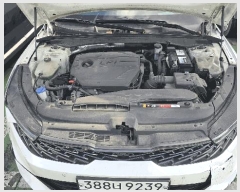  2025Ÿ��5936 �λ� �ؿ�뱸 �ݿ��� 1016-5 �켺����Ʈ ������     �������