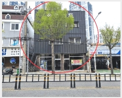  2025Ÿ��481  �ٸ����ð��