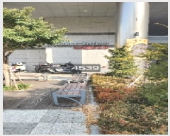  2025Ÿ��4539  ���ǽ��ڰ��