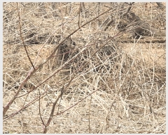  2025Ÿ��4852 �λ� ���屺 �ϱ��� ��õ�� ��55-2      ����(�Ӿ�)���