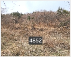  2025Ÿ��4852 �λ� ���屺 �ϱ��� ��õ�� ��55-2      ����(�Ӿ�)���