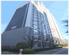  2025Ÿ��4917 �λ� ���� �뿬�� 242-1 ���׸�2������Ʈ 201�� 6��605ȣ    ����Ʈ���