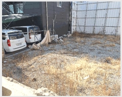  2025Ÿ��4958  �������