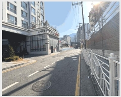  2025Ÿ��5031  ���ǽ��ڰ��