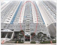  2025Ÿ��5074 �λ� �ؿ�뱸 �ݿ��� 1174-1 ���ҿ������̺����Ʈ 116�� 10��1003ȣ    ����Ʈ���