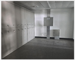  2025Ÿ��5250 �λ� ���屺 ����� ���� 1117-2      ������