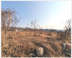  2025Ÿ26 泲 ؽ  61-2       ()