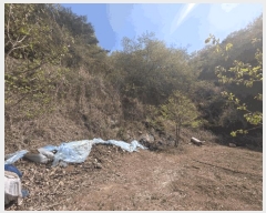  2025Ÿ��375 �泲 ���ؽ� ���̸� ���ϸ� 75      ����(�������)���