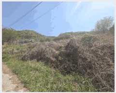  2025Ÿ��375 �泲 ���ؽ� ���̸� ���ϸ� 75      ����(�������)���