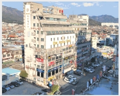  2025Ÿ��393  �ܵ�(ȣ��)���