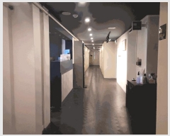  2025Ÿ��393  �ܵ�(ȣ��)���