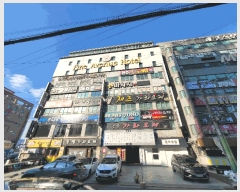  2025Ÿ��393  �ܵ�(ȣ��)���