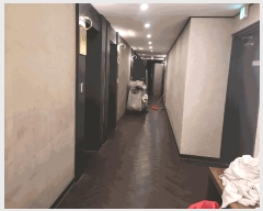  2025Ÿ��393  �ܵ�(ȣ��)���