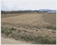  2025Ÿ��402  �����Ұ��