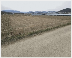  2025Ÿ��402  �����Ұ��