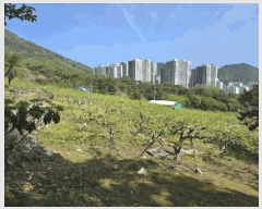  2025Ÿ��437 �泲 â���� ��â�� �ϸ� ���踮 469     ����(������)���