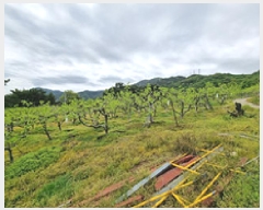  2025Ÿ��437 �泲 â���� ��â�� �ϸ� ���踮 469     ����(������)���