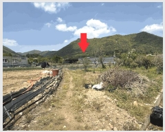  2025Ÿ��493 �泲 ���ؽ� �뵿�� ���߸� 325      ����(��)���