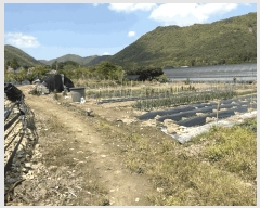  2025Ÿ��493 �泲 ���ؽ� �뵿�� ���߸� 325      ����(��)���