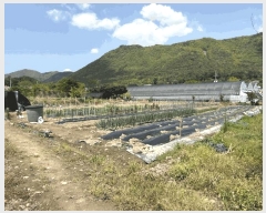  2025Ÿ��493 �泲 ���ؽ� �뵿�� ���߸� 325      ����(��)���