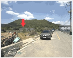  2025Ÿ��493 �泲 ���ؽ� �뵿�� ���߸� 325      ����(��)���