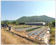  2025Ÿ��493 �泲 ���ؽ� �뵿�� ���߸� 325      ����(��)���