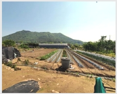  2025Ÿ��493 �泲 ���ؽ� �뵿�� ���߸� 325      ����(��)���