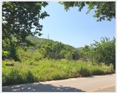  2025Ÿ��548 �泲 ���ؽ� �󵿸� ������ 793-4      ����(����)���