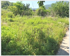  2025Ÿ��548 �泲 ���ؽ� �󵿸� ������ 793-4      ����(����)���