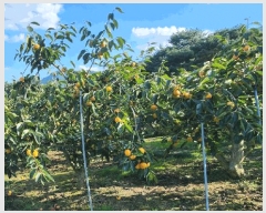 2025Ÿ��760 �泲 â���� ��â�� �ϸ� ���踮 468     ����(������)���