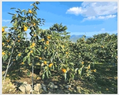  2025Ÿ��760 �泲 â���� ��â�� �ϸ� ���踮 468     ����(������)���