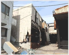  2025Ÿ��10991  ������