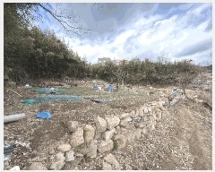  2025Ÿ11007 泲 ؽ  341-2       ()