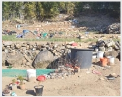  2025Ÿ11007 泲 ؽ  341-2       ()