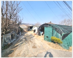  2025Ÿ11051 泲 ؽ 뵿  167      ð