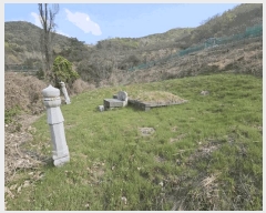  2025Ÿ��11290 �泲 ���ؽ� �Ѹ��� �ݰ 944      ����(��1)���