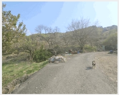  2025Ÿ��11290 �泲 ���ؽ� �Ѹ��� �ݰ 944      ����(��1)���