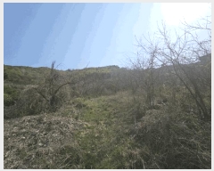  2025Ÿ��11290 �泲 ���ؽ� �Ѹ��� �ݰ 944      ����(��1)���