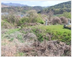  2025Ÿ��11290 �泲 ���ؽ� �Ѹ��� �ݰ 944      ����(��1)���