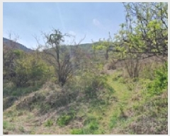  2025Ÿ��11290 �泲 ���ؽ� �Ѹ��� �ݰ 944      ����(��1)���