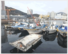  2025Ÿ��12331  ���ڰ��