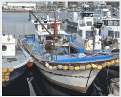  2025Ÿ��12331  ���ڰ��