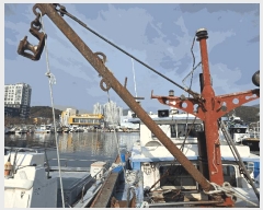  2025Ÿ��12331  ���ڰ��