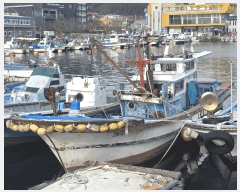  2025Ÿ��12331  ���ڰ��