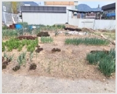  2025Ÿ438 泲 â â 縲 40-5      ()