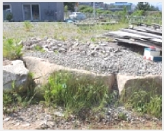  2025Ÿ468 泲 ؽ  532-1       (1)