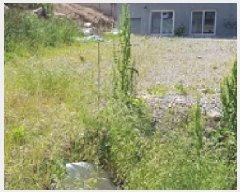  2025Ÿ468 泲 ؽ  532-1       (1)