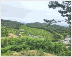  2025Ÿ485 泲 ؽ  ſ븮 473-3      (Ӿ)