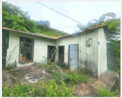  2025Ÿ485 泲 ؽ  ſ븮 473-3      (Ӿ)