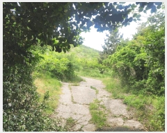  2025Ÿ485 泲 ؽ  ſ븮 473-3      (Ӿ)